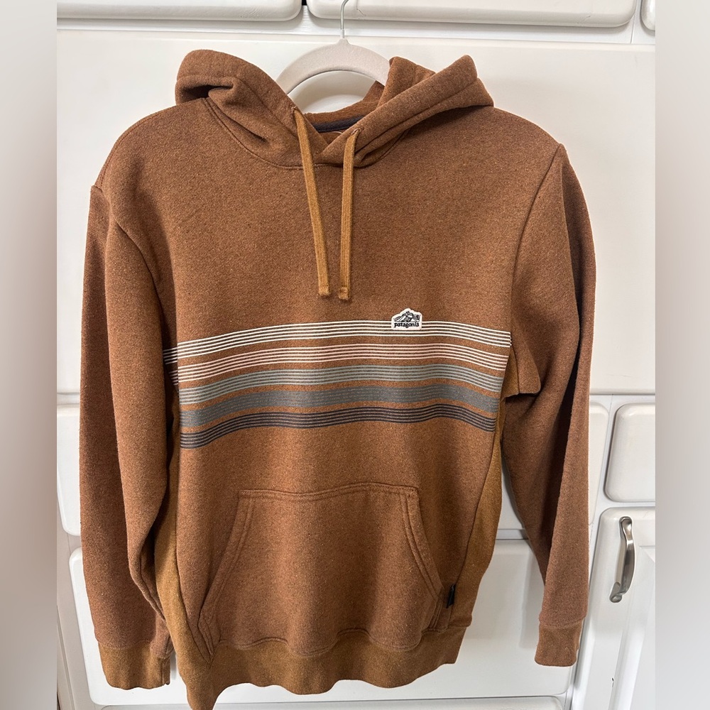 Patagonia Striped Hoodie